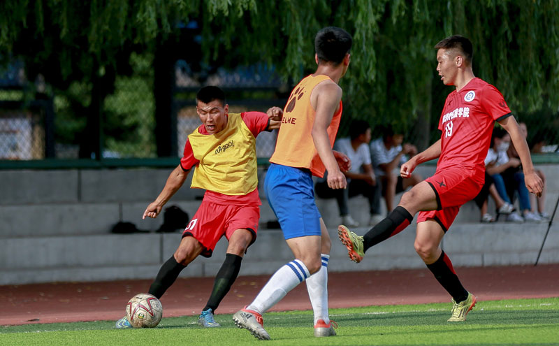 骑士双塔组合表现持续强势（骑士双塔组合依旧强势）