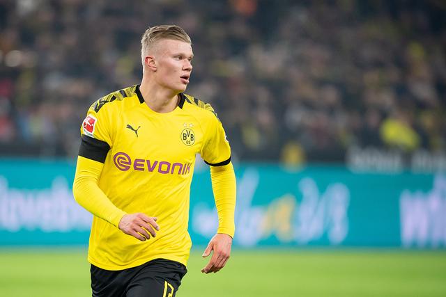 当费德勒遇到求婚（费德勒与突如其来的求婚）